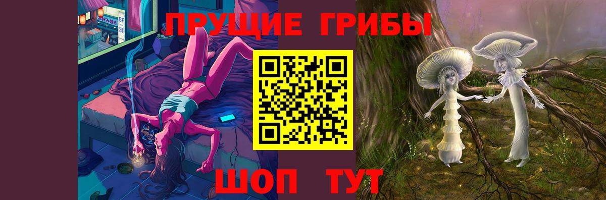 Псилоцибиновые грибы мицелий Рассказово