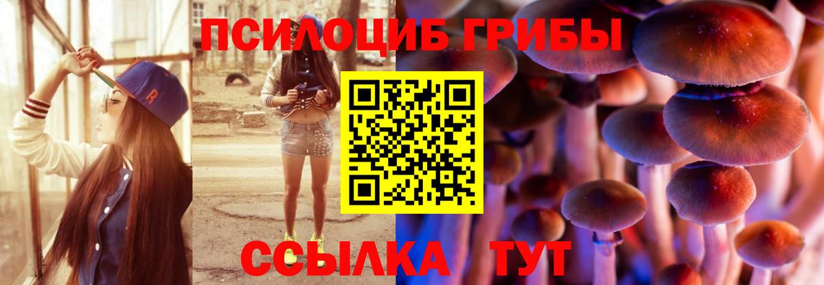 Псилоцибиновые грибы ЛСД  Вход с VPN  Псилоцибиновые грибы GOLDEN TEACHER  Рассказово 